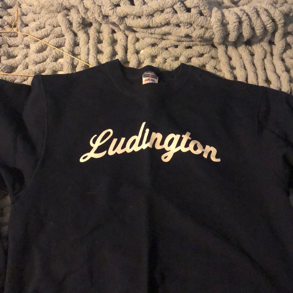 Woman’s ludington Michigan vintage crewneck.